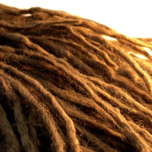 locks