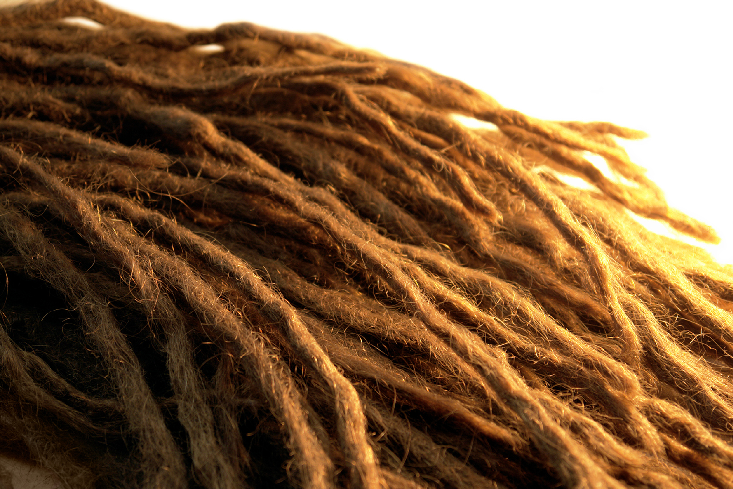 3 CEU Hours – Proper Loc Care and The History of Locs